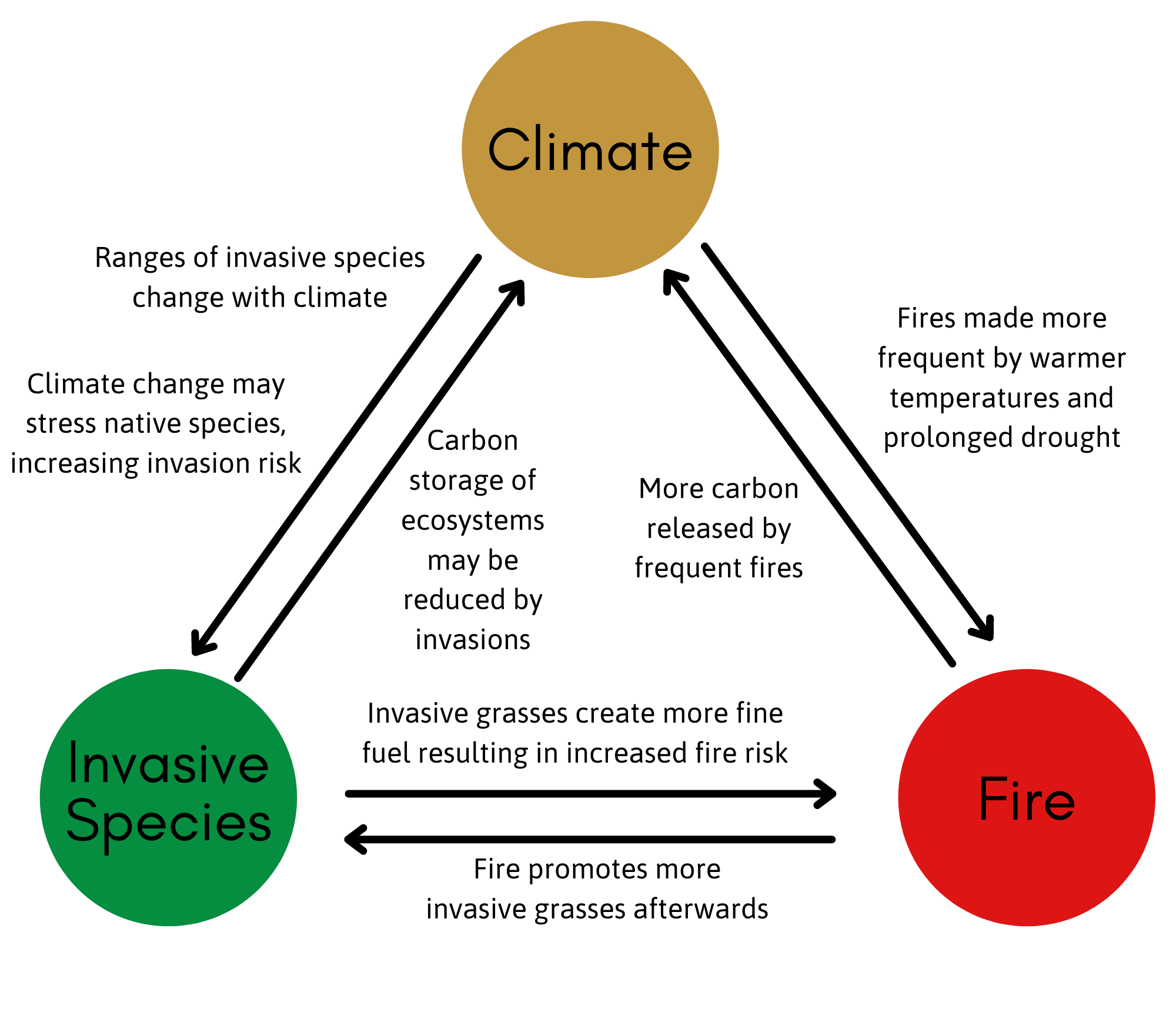 Climate-Fire-Invasive Diagram