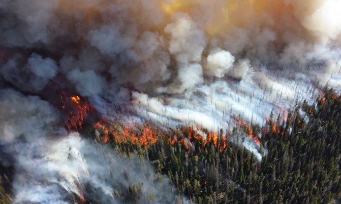 https://blog.ucsusa.org/shana-udvardy/as-danger-season-begins-congress-must-pass-stronger-wildfire-policies/