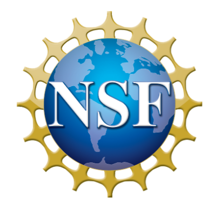 NSF Logo