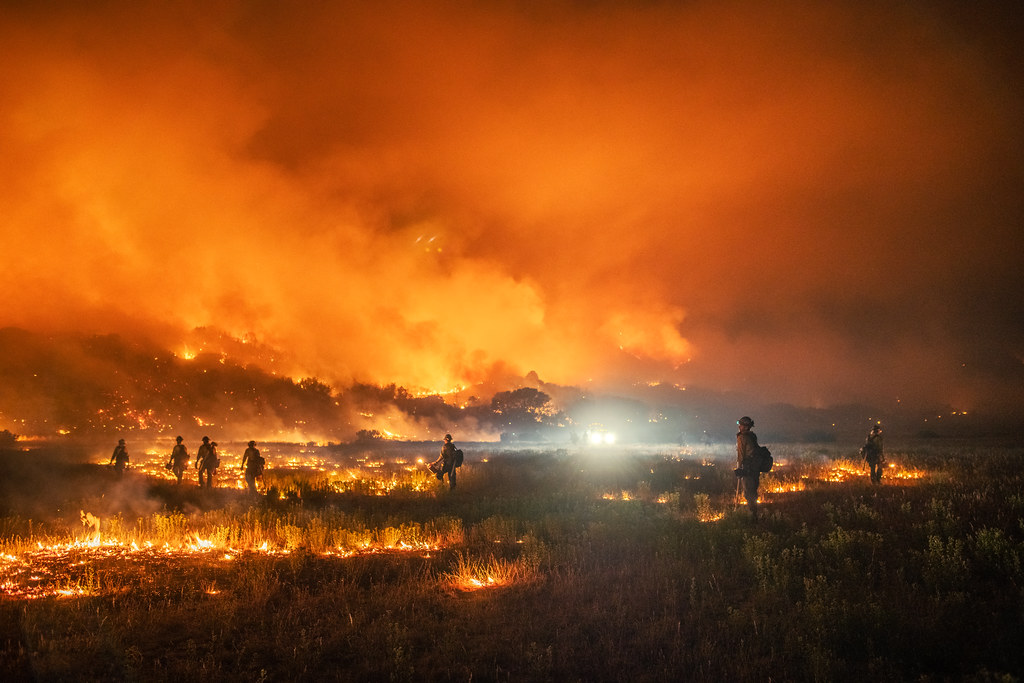 Pine Gulch Fire