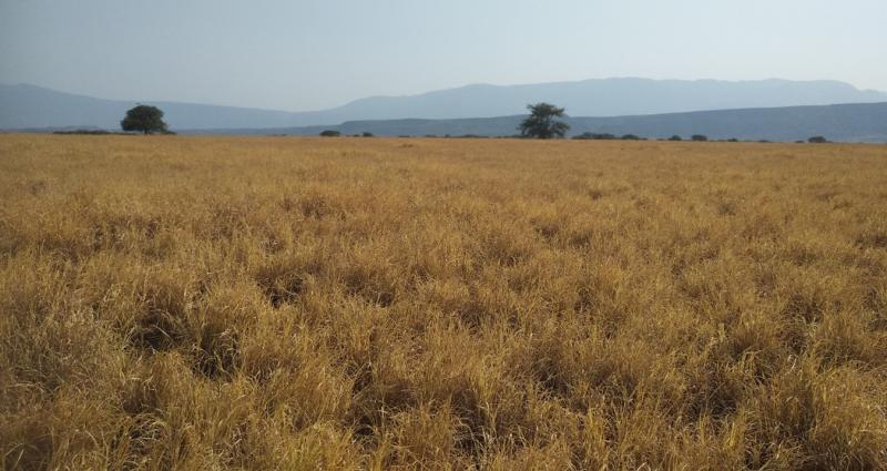 EDS_Blog_Picture_2.EM