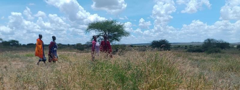 EDS_Blog_Picture_3.EM