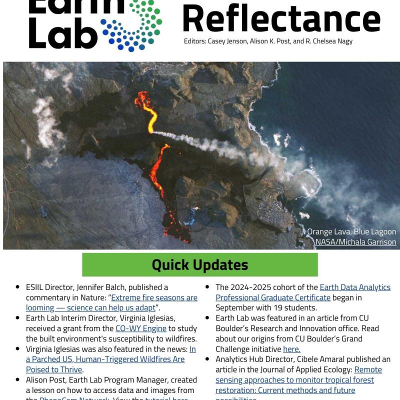 Reflectance Jan2025 Page 1