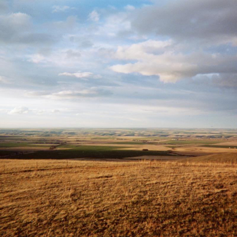 Field