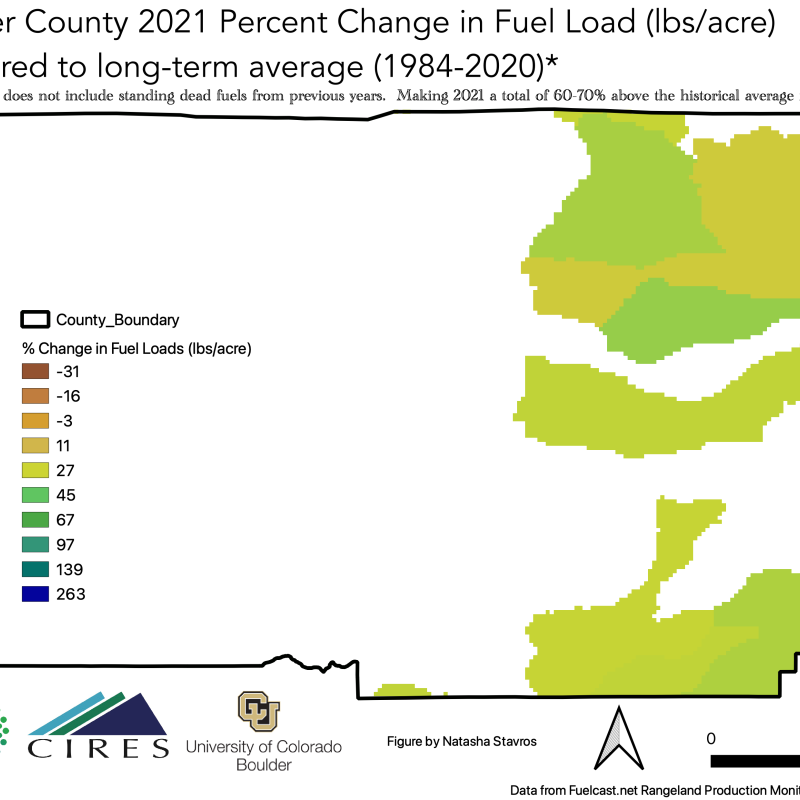 Boulder County 2021 Grass Fuels compared to historical average