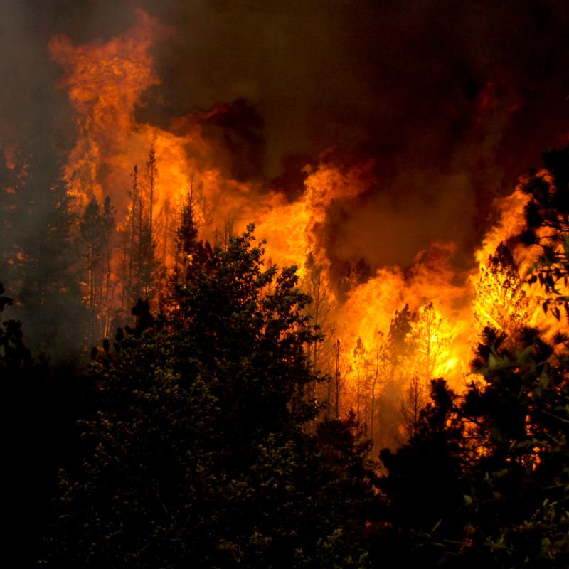 High Park Fire
