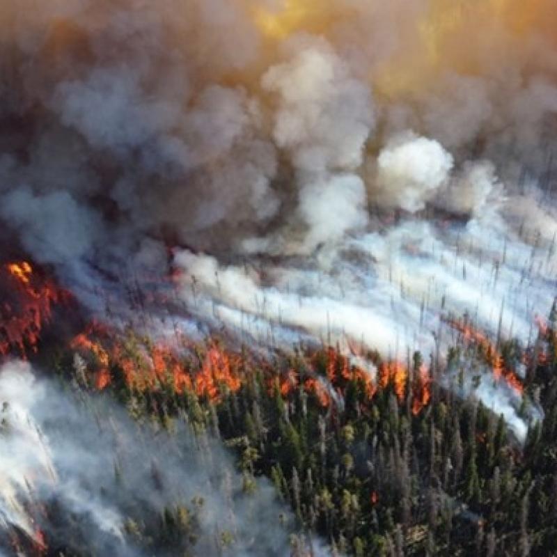 https://blog.ucsusa.org/shana-udvardy/as-danger-season-begins-congress-must-pass-stronger-wildfire-policies/