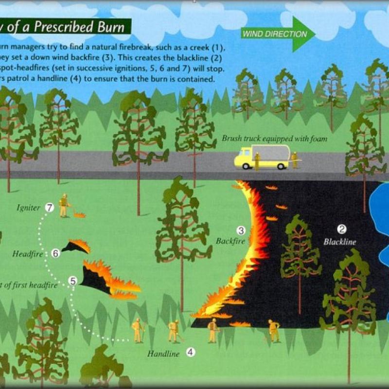 Rx Fire Infographic