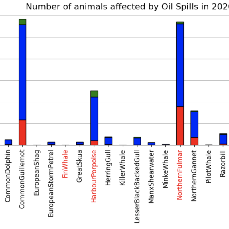 animals affected by oil spills