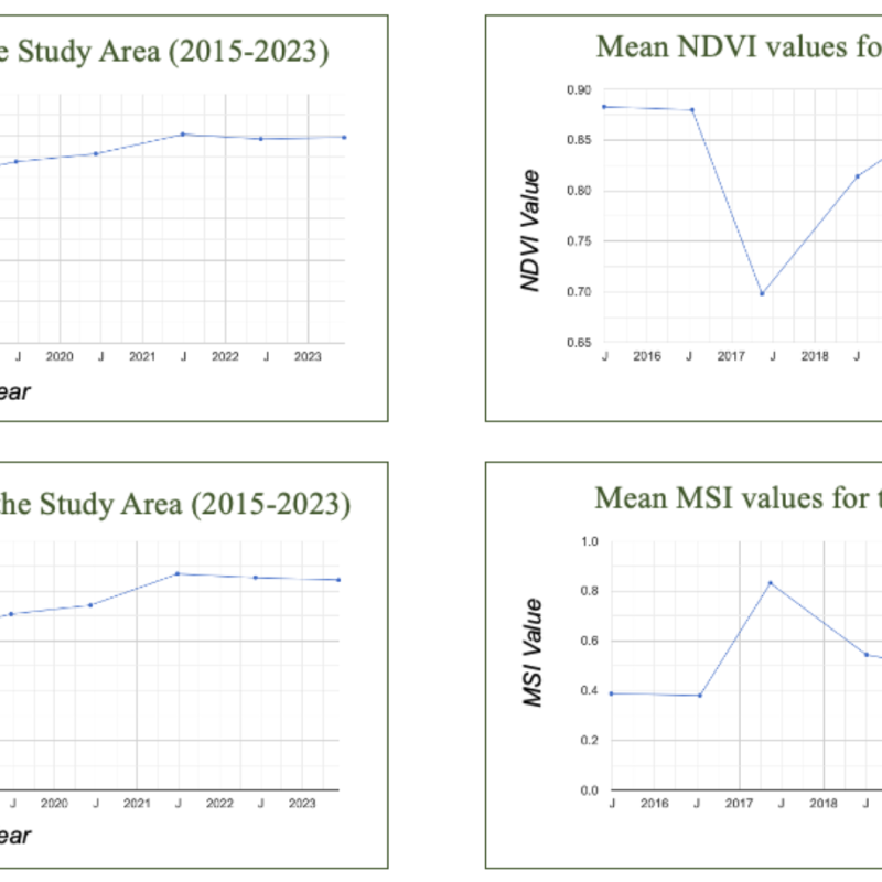 time series charts