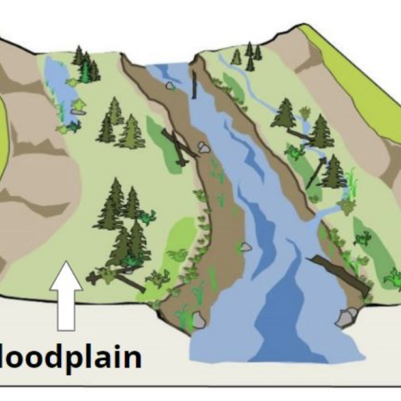 floodplain