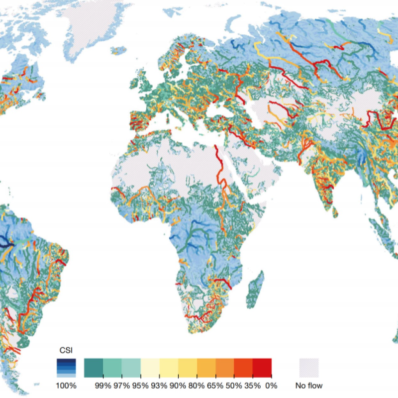 Flow of Global Rivers