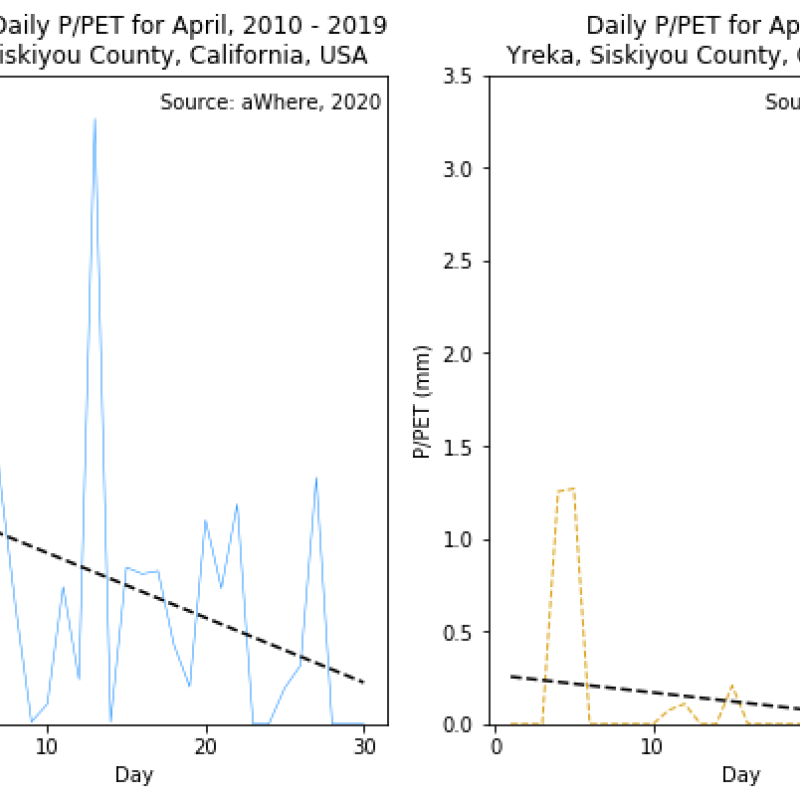 Daily P/PET