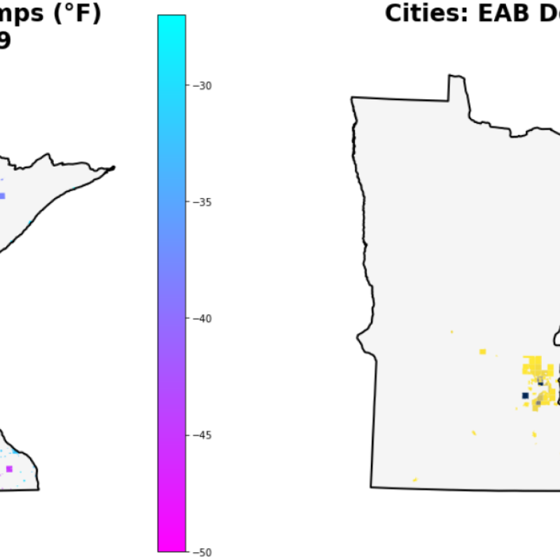 temperature and eab detections