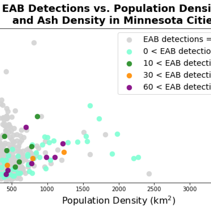 eab detections in relation to ash tree and population density