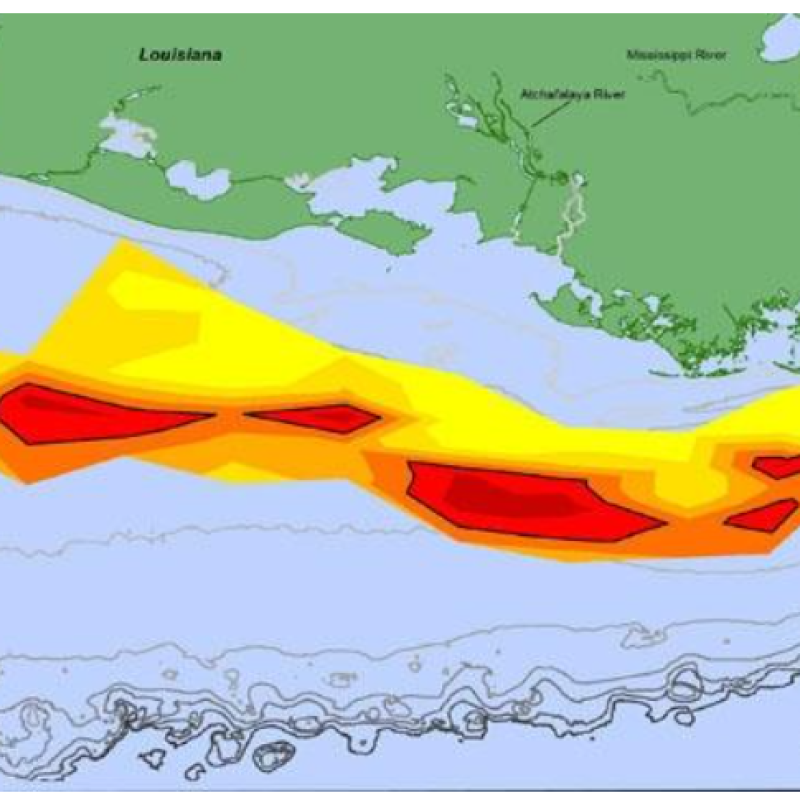 Hypoxic Zone Gulf of Mexico