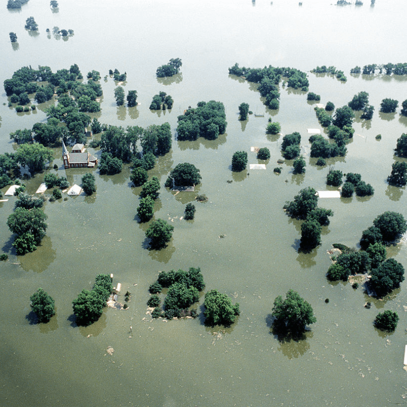 flooding with trees