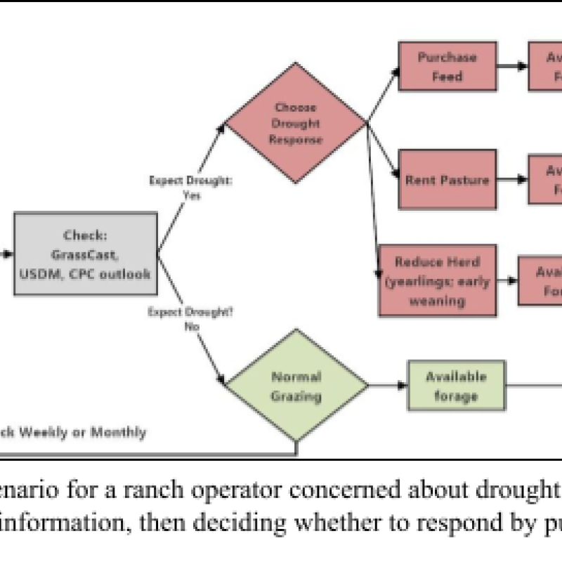 Ranching Decision Tree