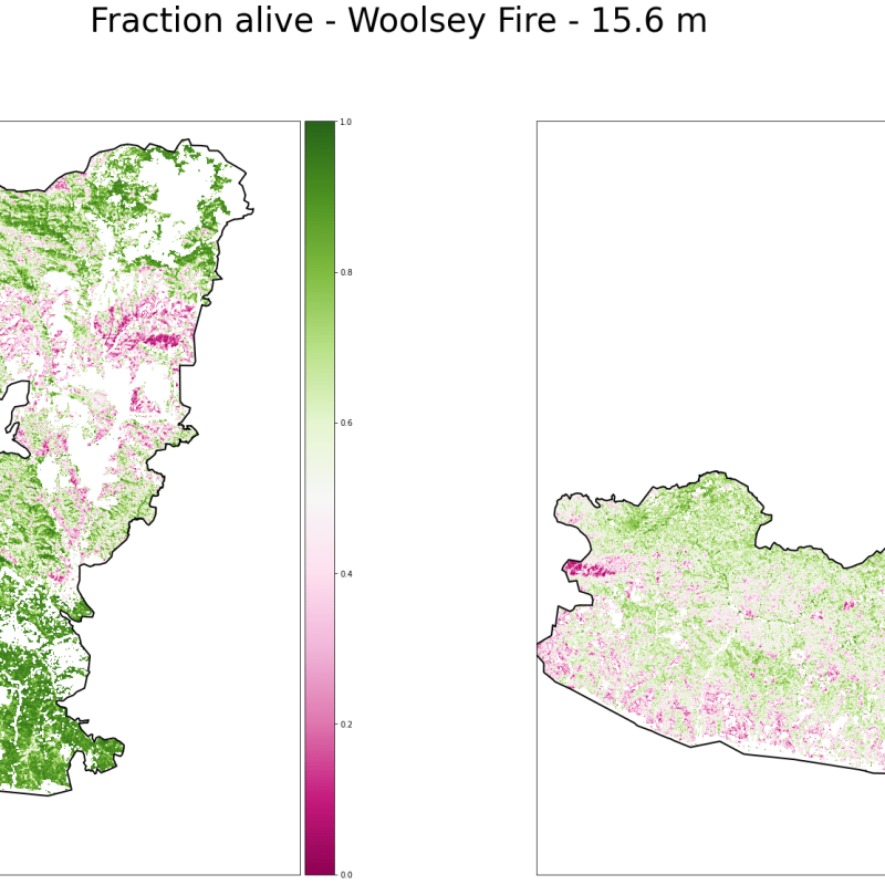 Woolsey Fraction Alive Rasters