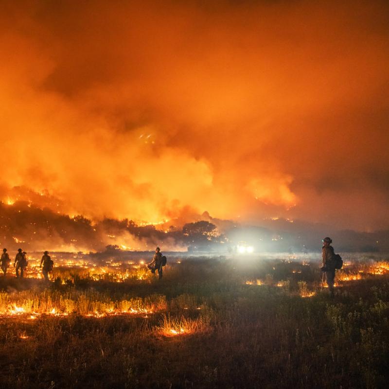 Pine Gulch Fire