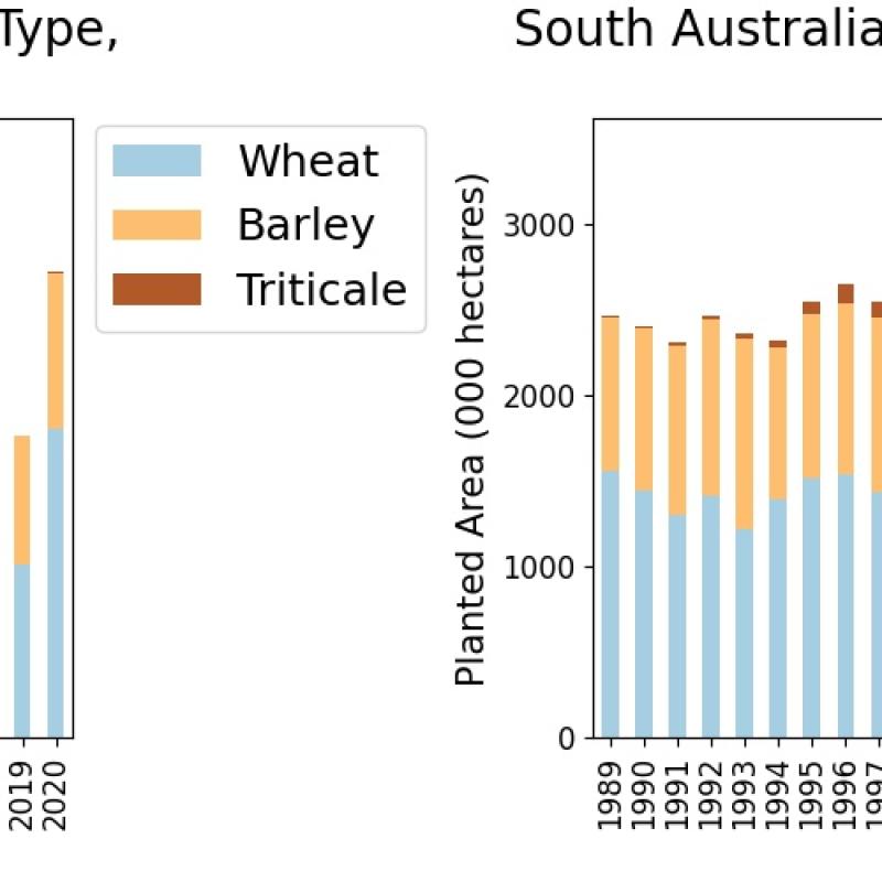 South Australian Cereal Cropping Production, Area Planted and Average Yield, 1989 -2020