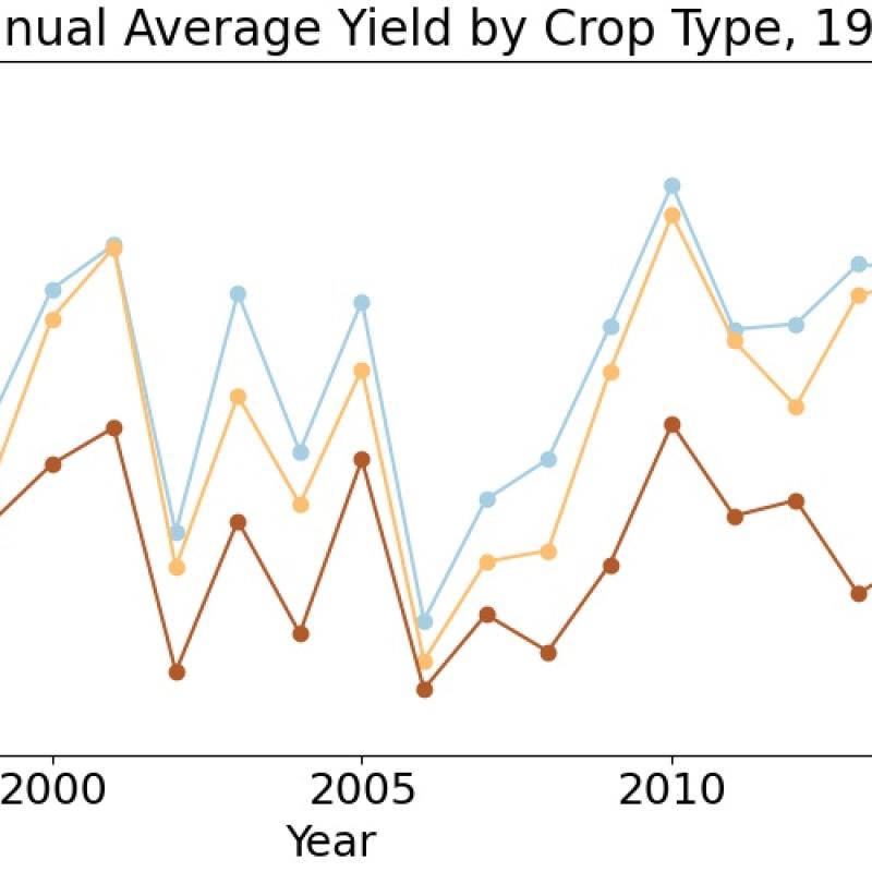 South Australian Cereal Cropping Production, Area Planted and Average Yield, 1989 -2020