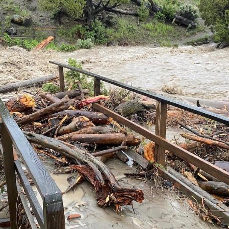 Flooding in Yellowstone