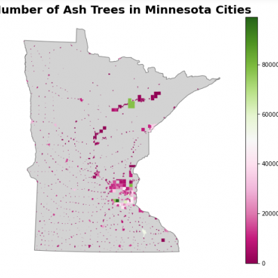 number of ash trees